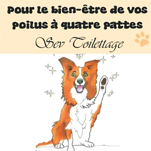 Sev Toilettage