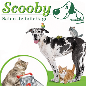 Scooby