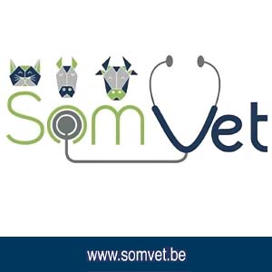 Somvet