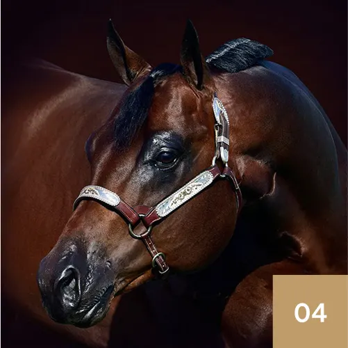 Its A Southern Thing