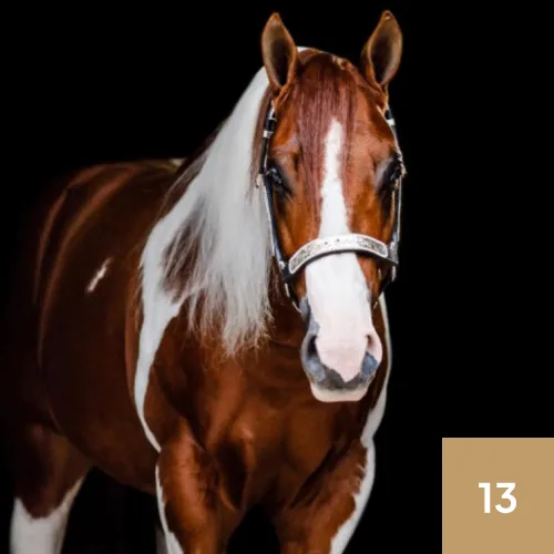 VR You Only Live Once