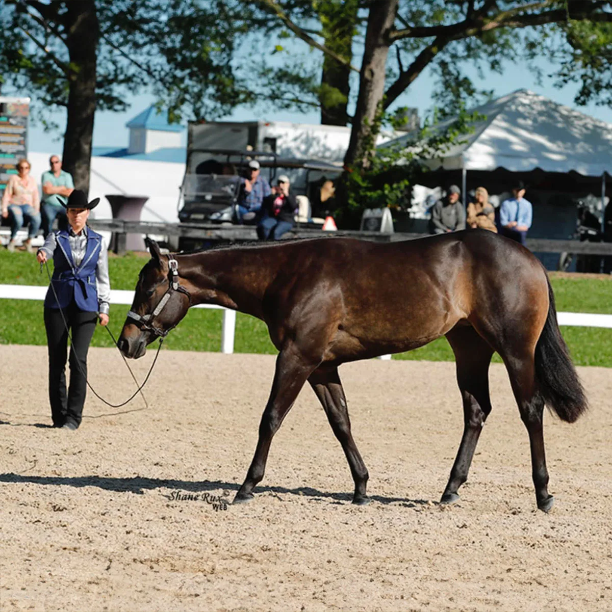 2024 NSBA World Show