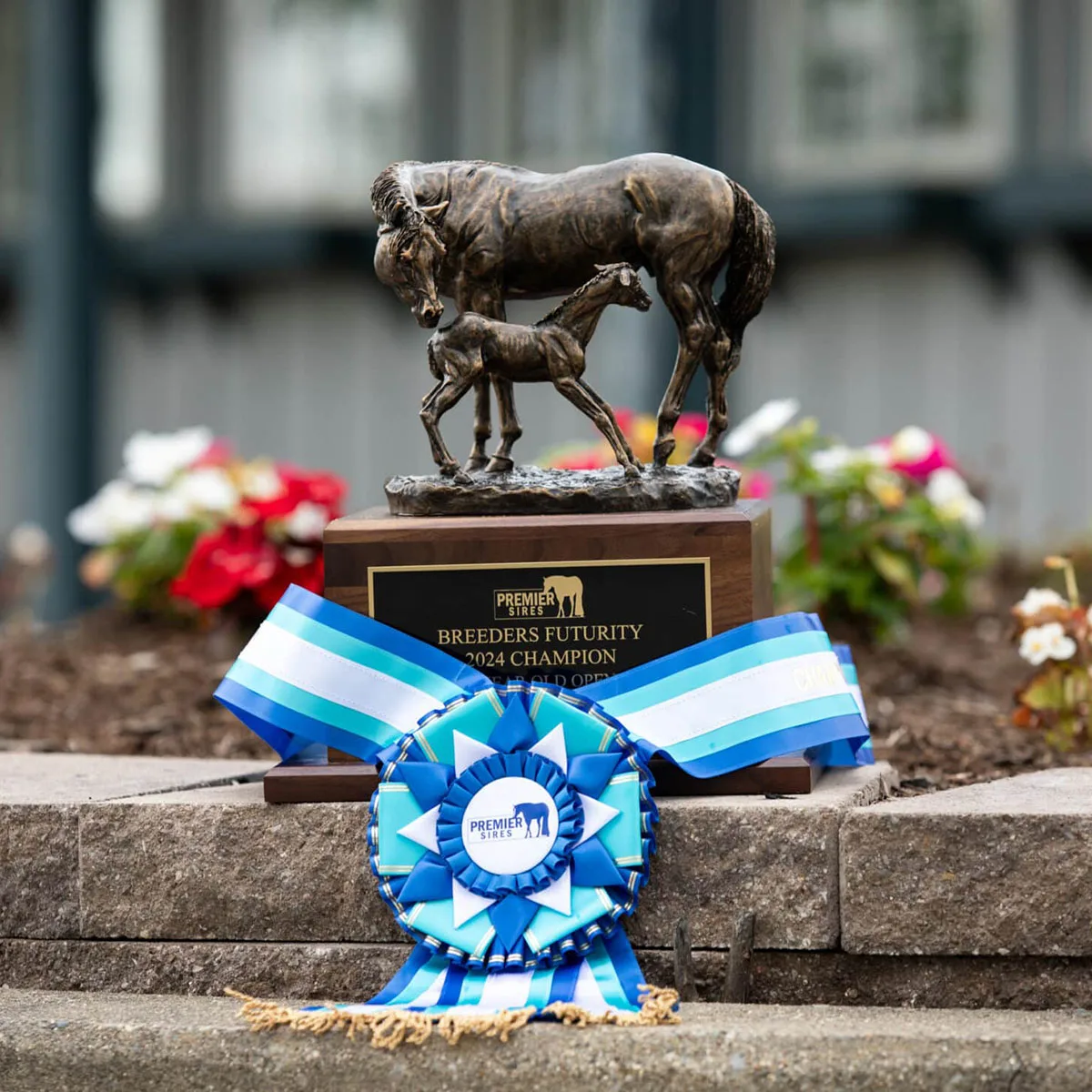 2024 The Premier Futurity