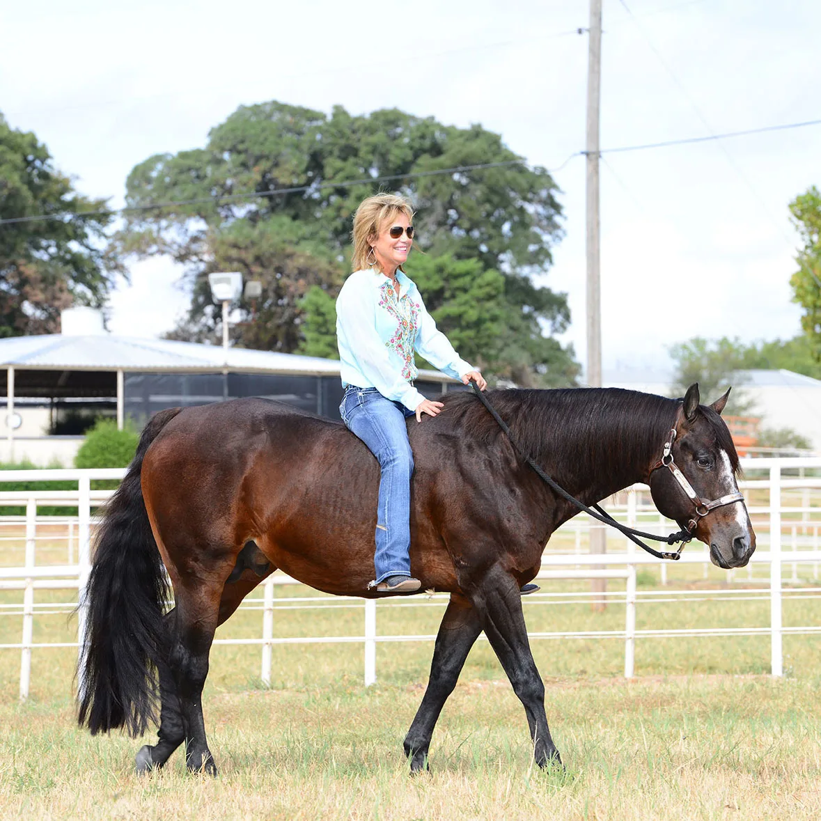 Blazing Hot: The legacy that still shines bright.