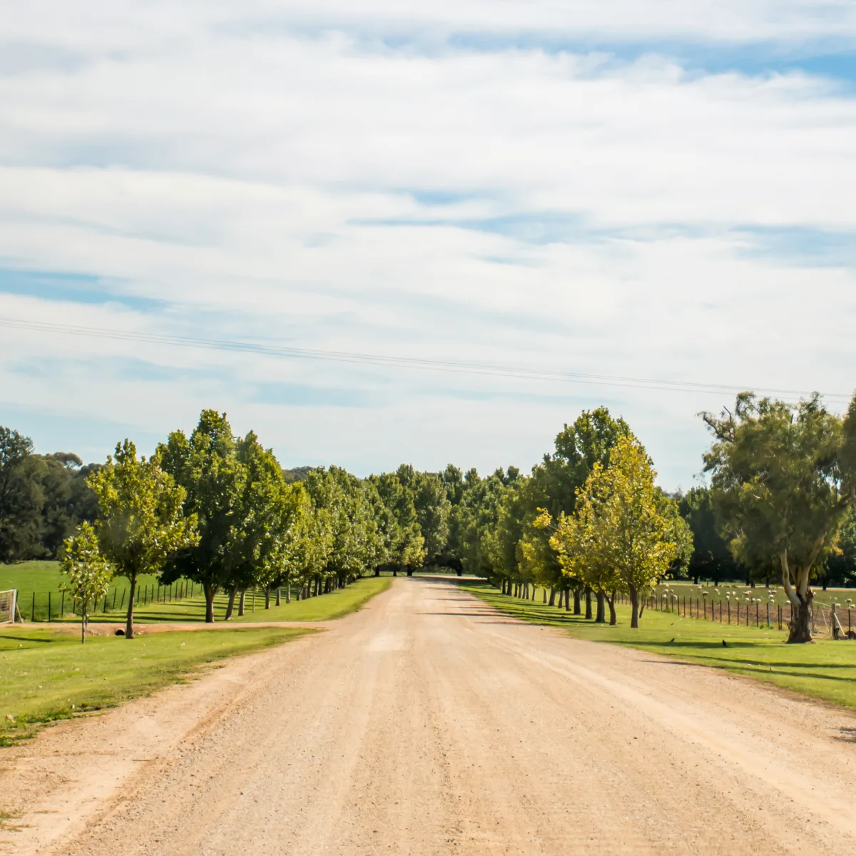 Dr. Joshua Harvey Temporarily Suspended by Texas Veterinary Board Amid EIA Outbreak and Serious Violations