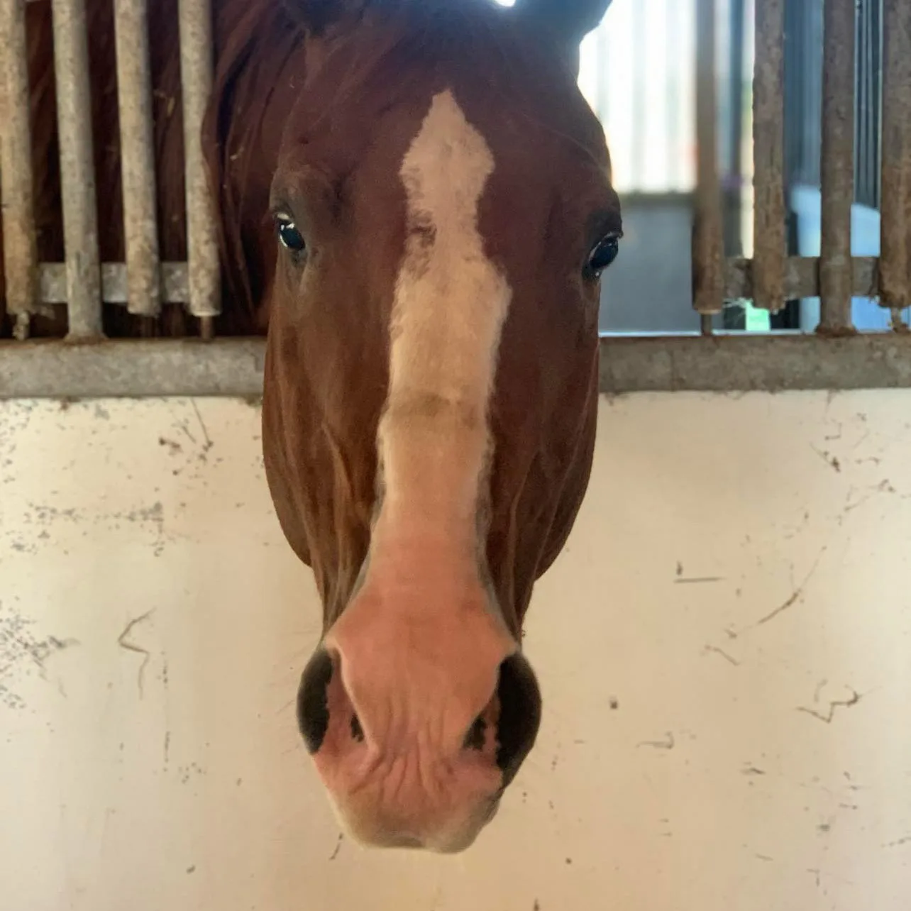 The Total Investment: A Tale of Resilience and Love