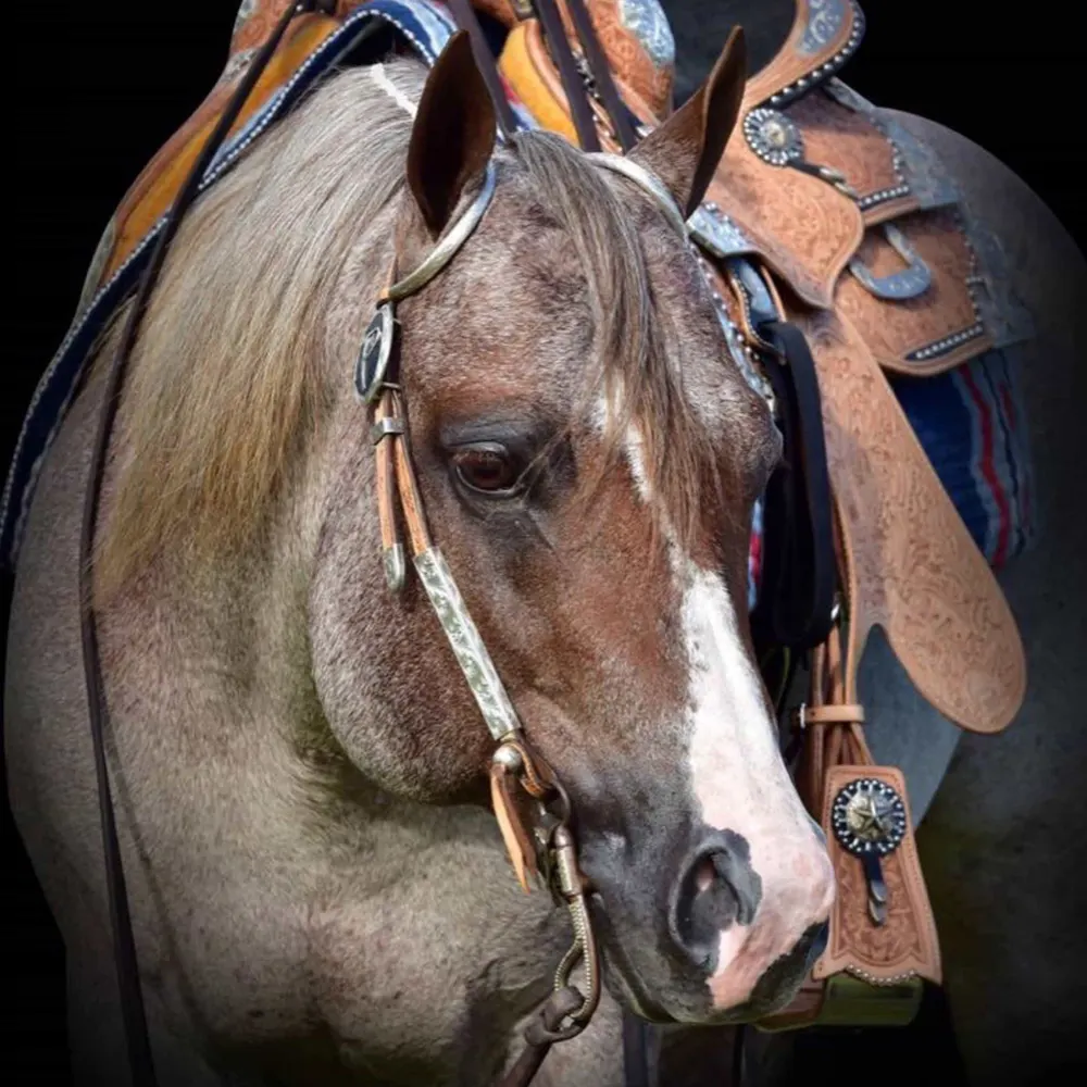 Roan vs Roaning: What's the difference?