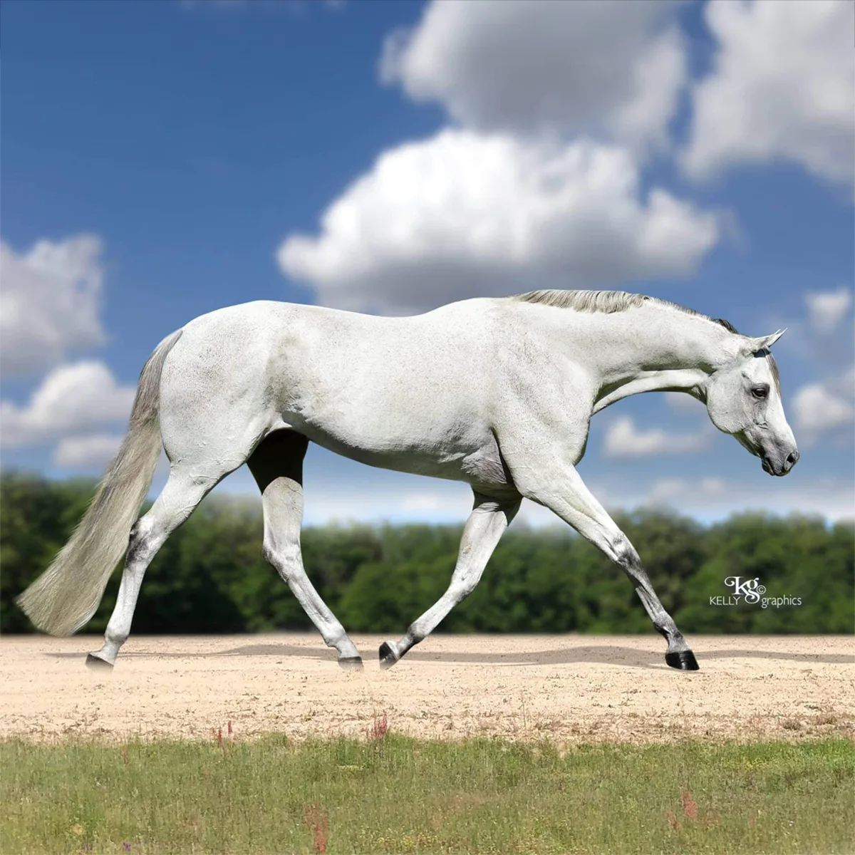 Karma is Real: The Inspiring story of So Riveting