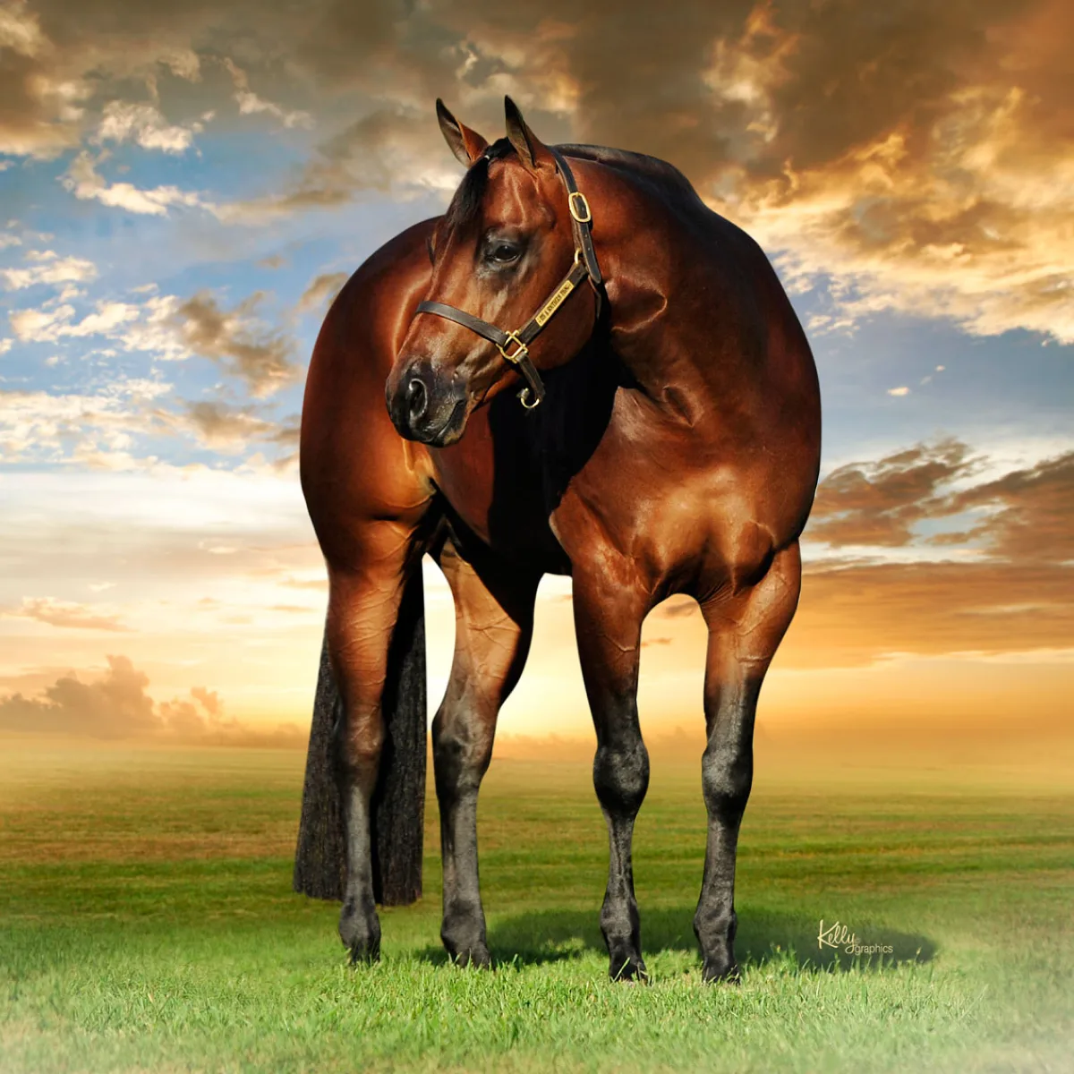 Super Sires: Mid-Year Leaders & Exciting New Features