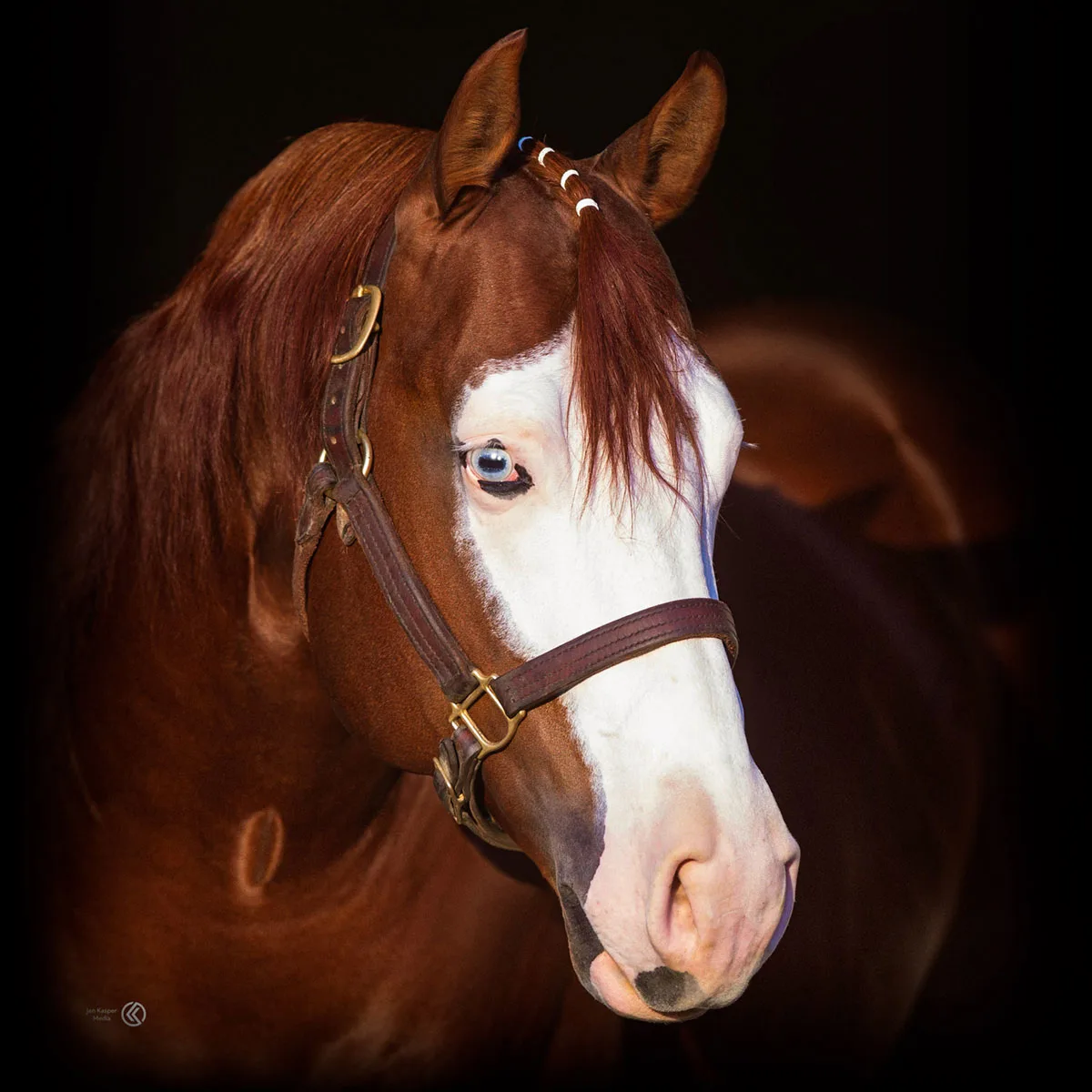 Feature Release v1.3.1