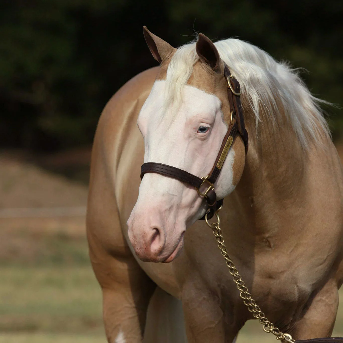 Feature Release v1.3.3