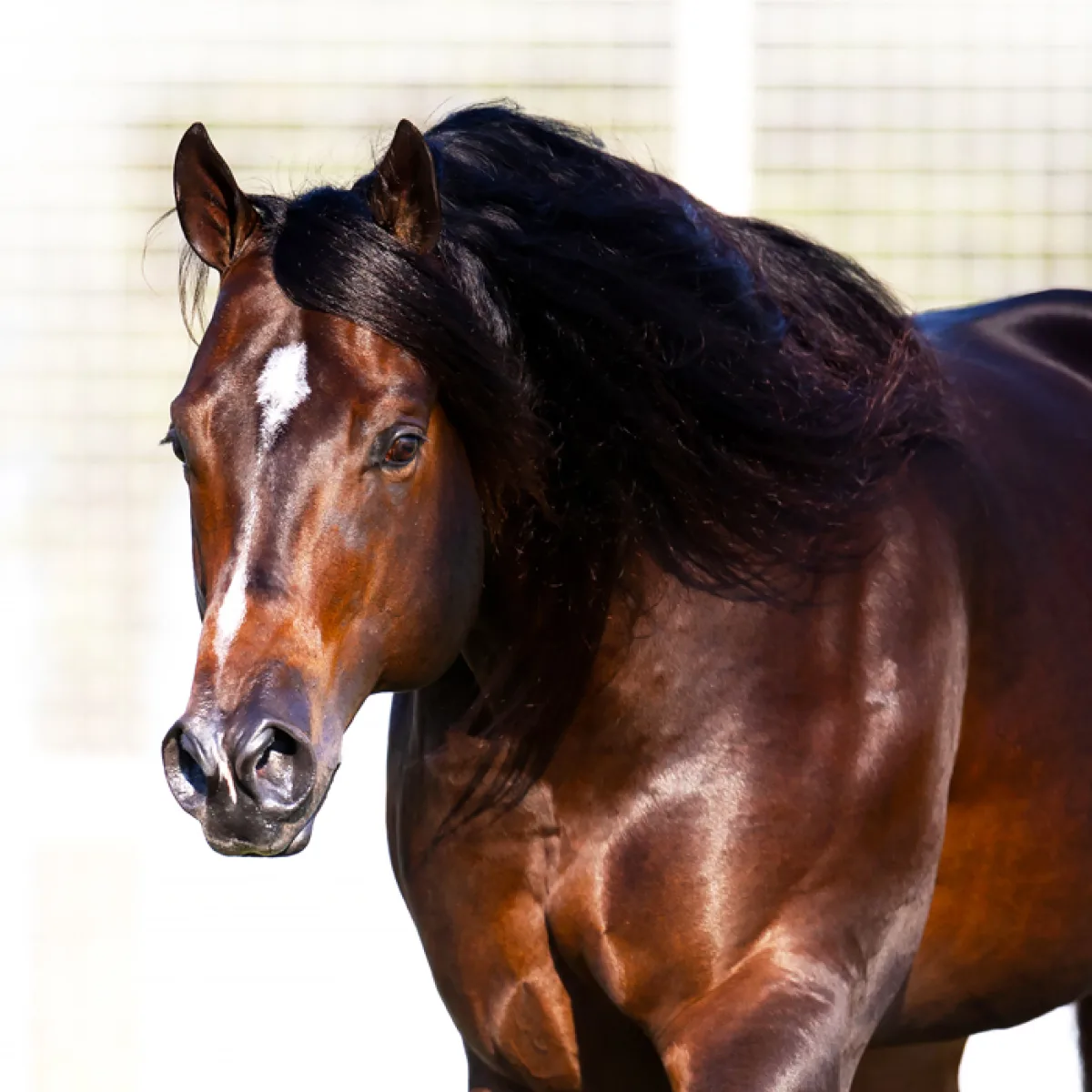 Feature Release v1.3.4