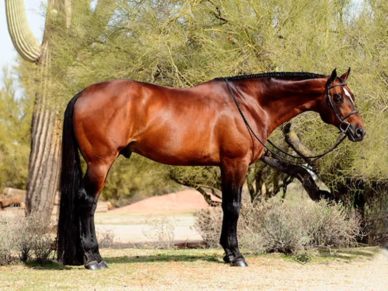 Allocate Your Assets