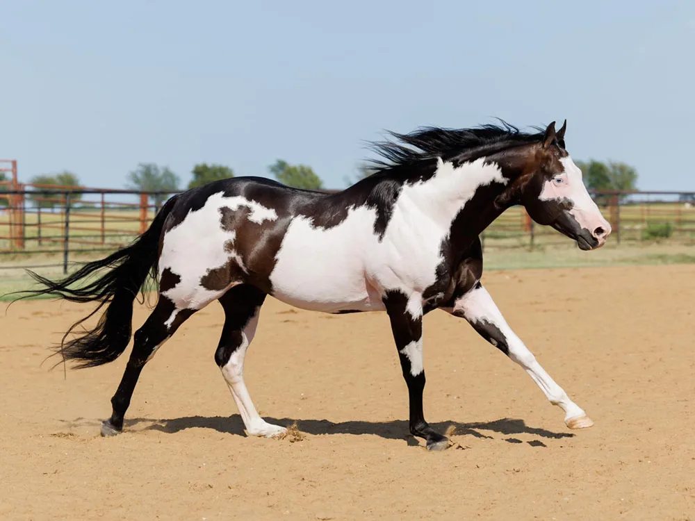 Count the Minutes Count the Minutes