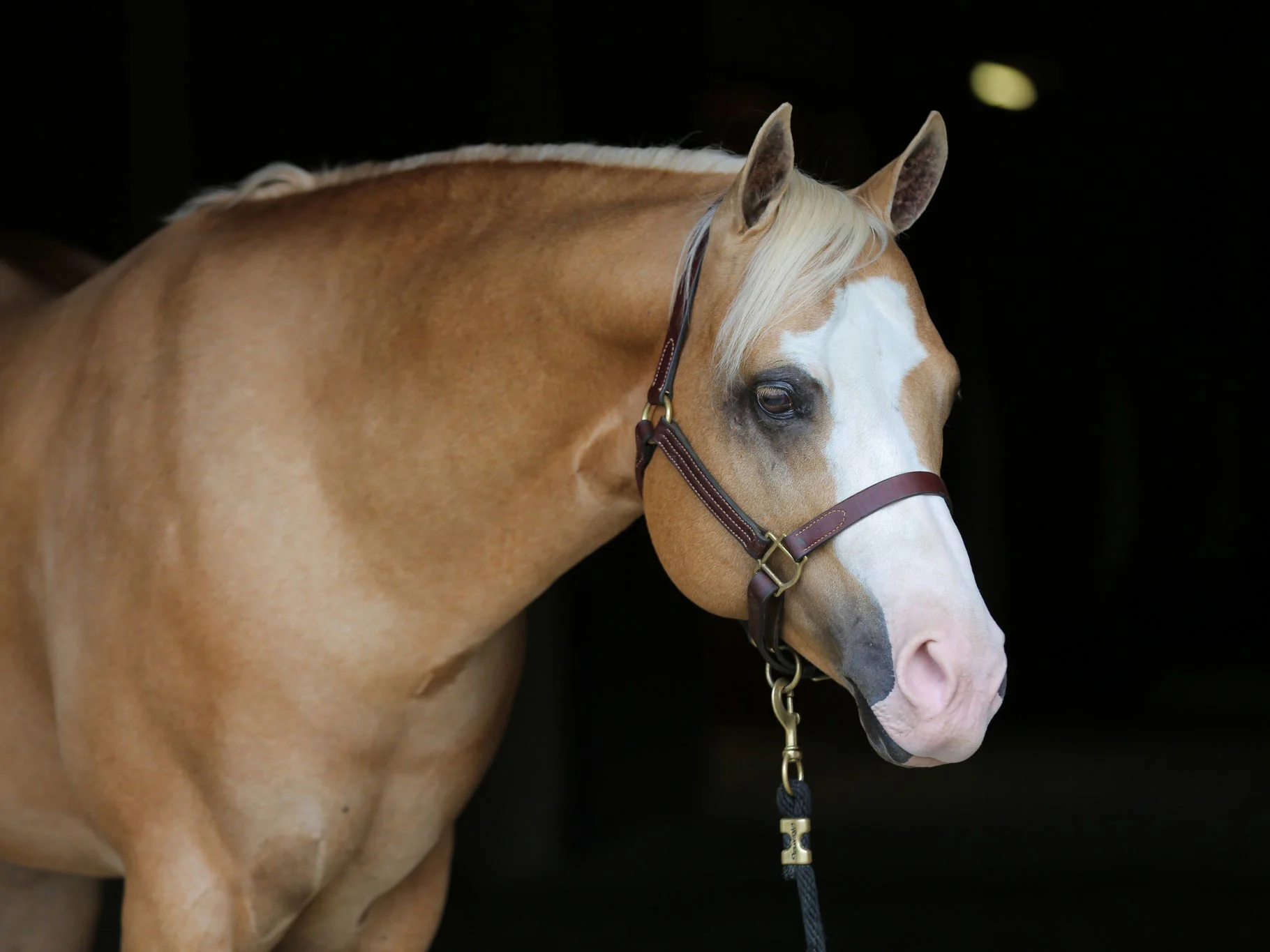 Dimensions Got Style Dimensions Got Style