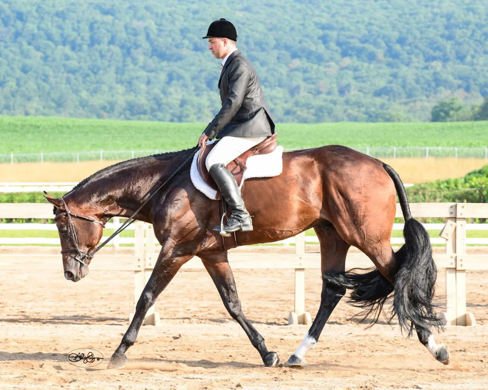 HBF Hot Expectations