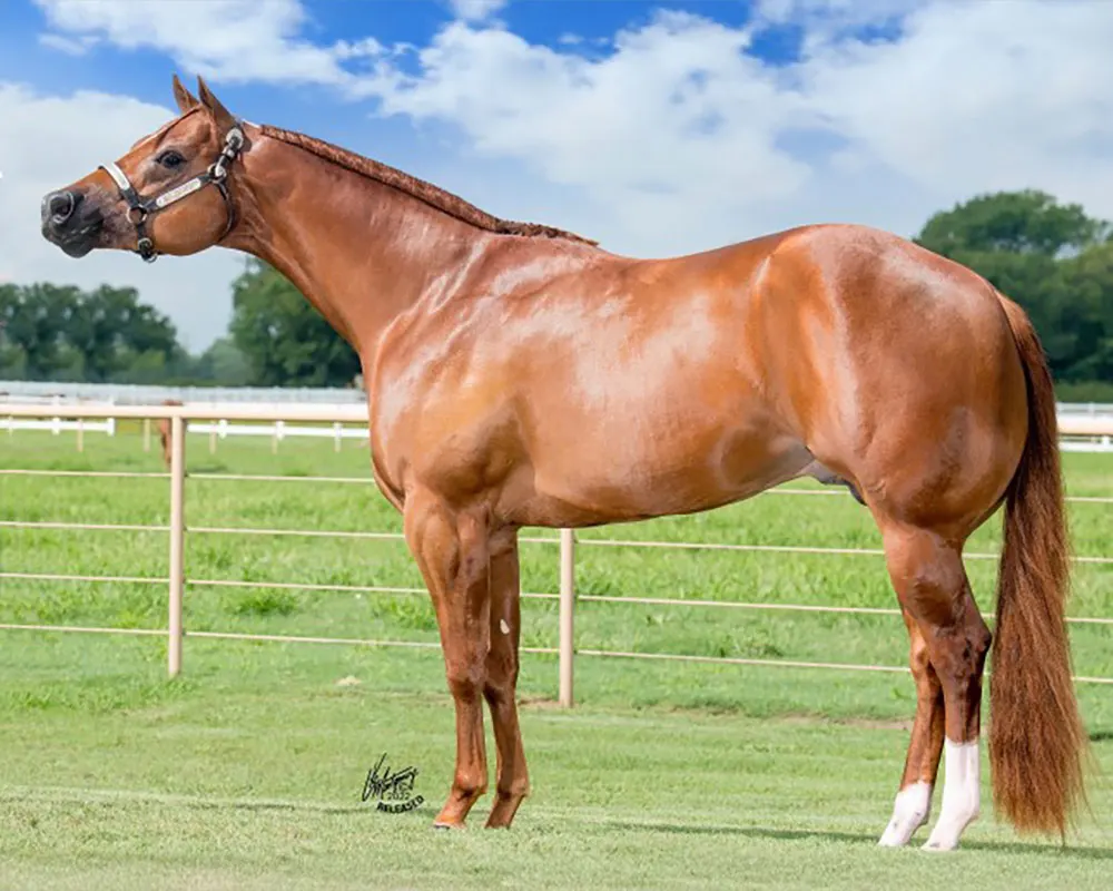 I Am The One And Only