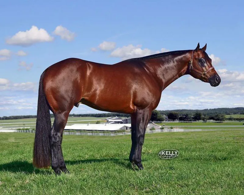 Its A Southern Thing