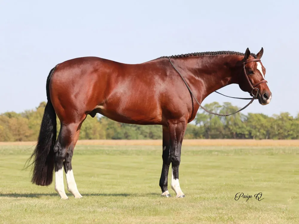 When In Chrome When In Chrome