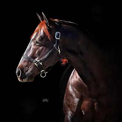 Breeders Invitational Details