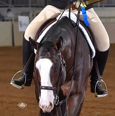 NSBA Breeders' Championship Futurity Details