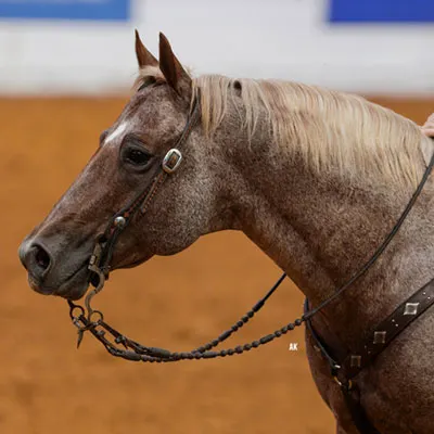 National Reined Cow Horse Association Details