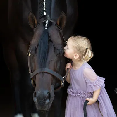 Nederlandse Quarter Horse Associatie Details