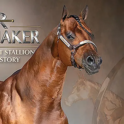 World Conformation Horse Association Big Money Futurity Details