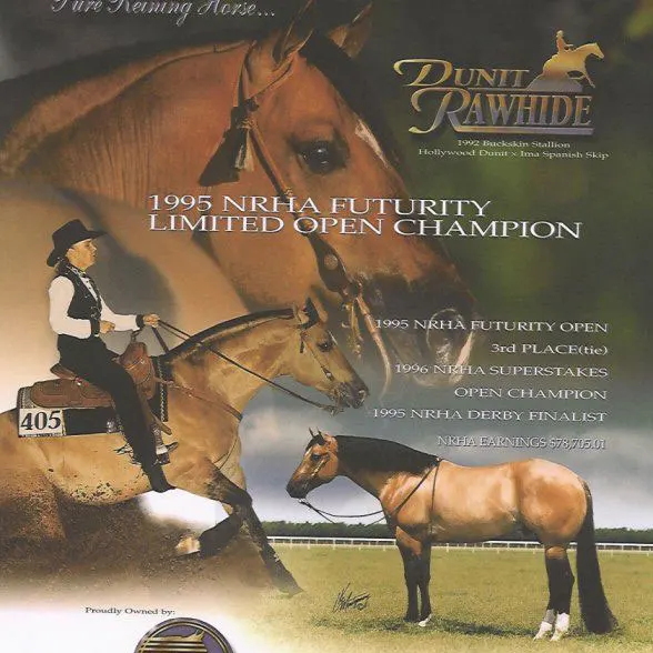 Dunit Rawhide Dunit Rawhide