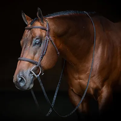 Super Sires Details