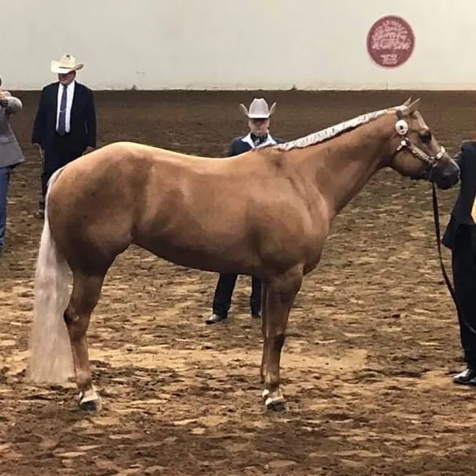 Invest N Your Dreams