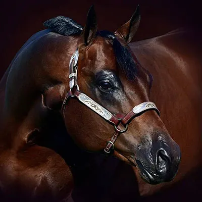 Its A Southern Thing