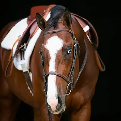 ARHA Roan to Riches Details ARHA Roan to Riches Details