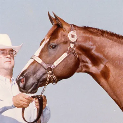 World Conformation Horse Association Big Money Futurity Details