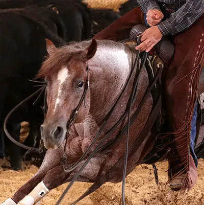 IQHA (Iowa QH Association) Ranch Horse Futurity Details IQHA (Iowa QH Association) Ranch Horse Futurity Details