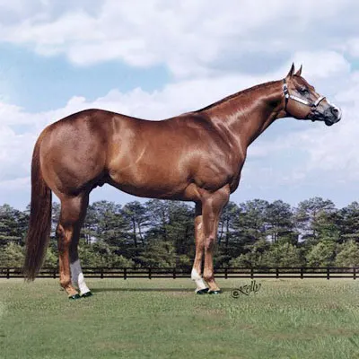 Te Coolest AQHA