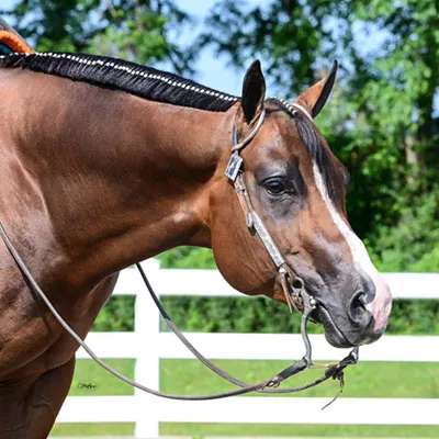 ARHA Roan to Riches Details