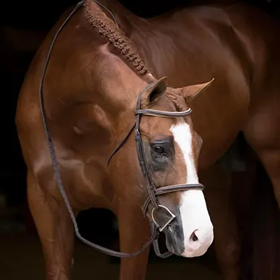 ARHA Roan to Riches Details ARHA Roan to Riches Details