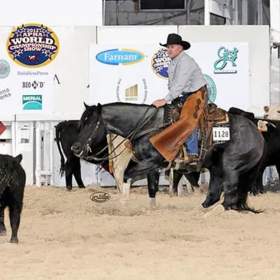 Cash for Color Stallion Program Details