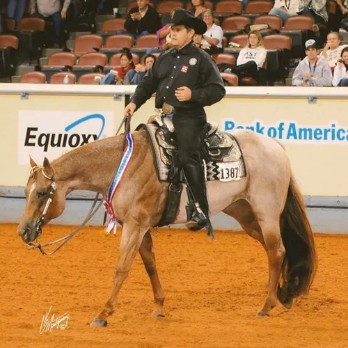 Vital Signs Are Good