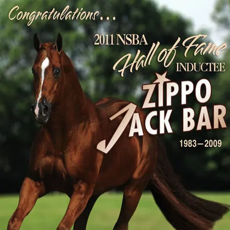 Zippo Jack Bar