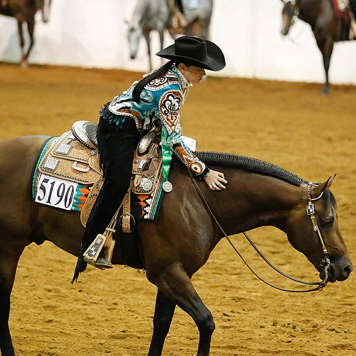 Champions of Columbus: Top Horses, Bloodlines, and Guiding Hands of the 2025 All American Quarter Horse Congress