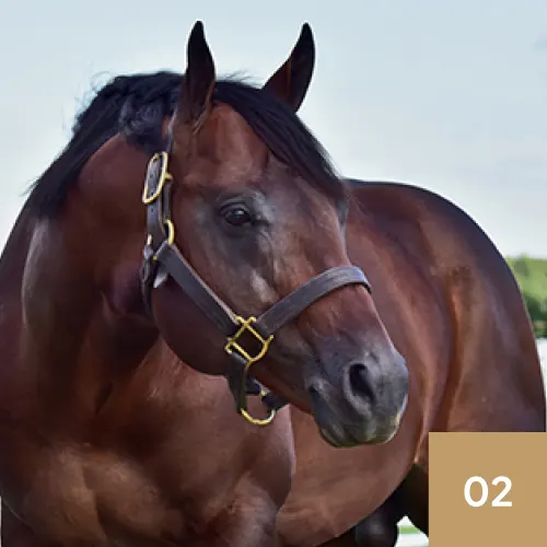 Its A Southern Thing