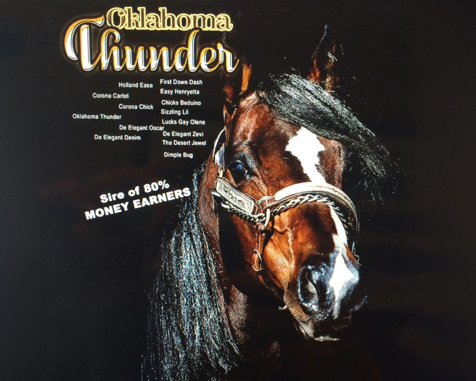 Oklahoma Thunder
