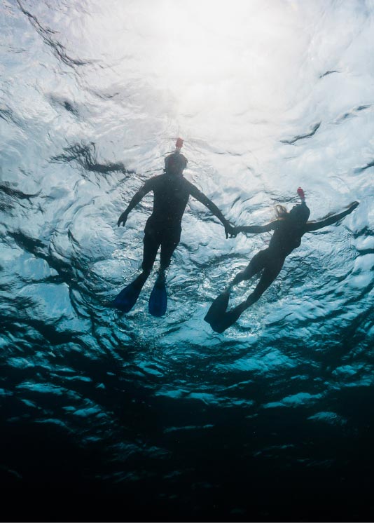 Snorkling tours-slide
