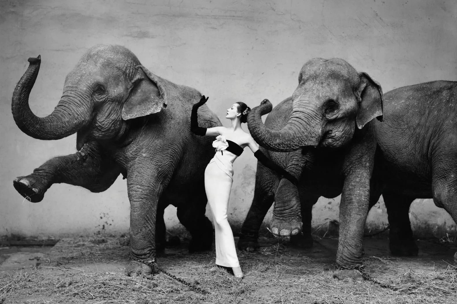 Richard Avedon