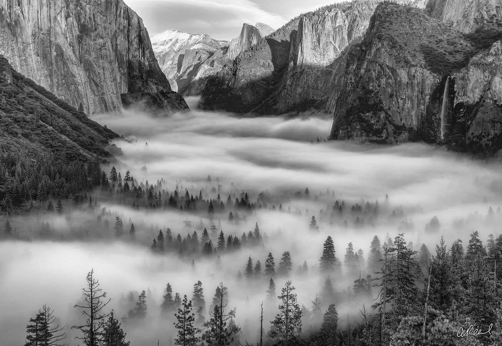 Ansel Adams