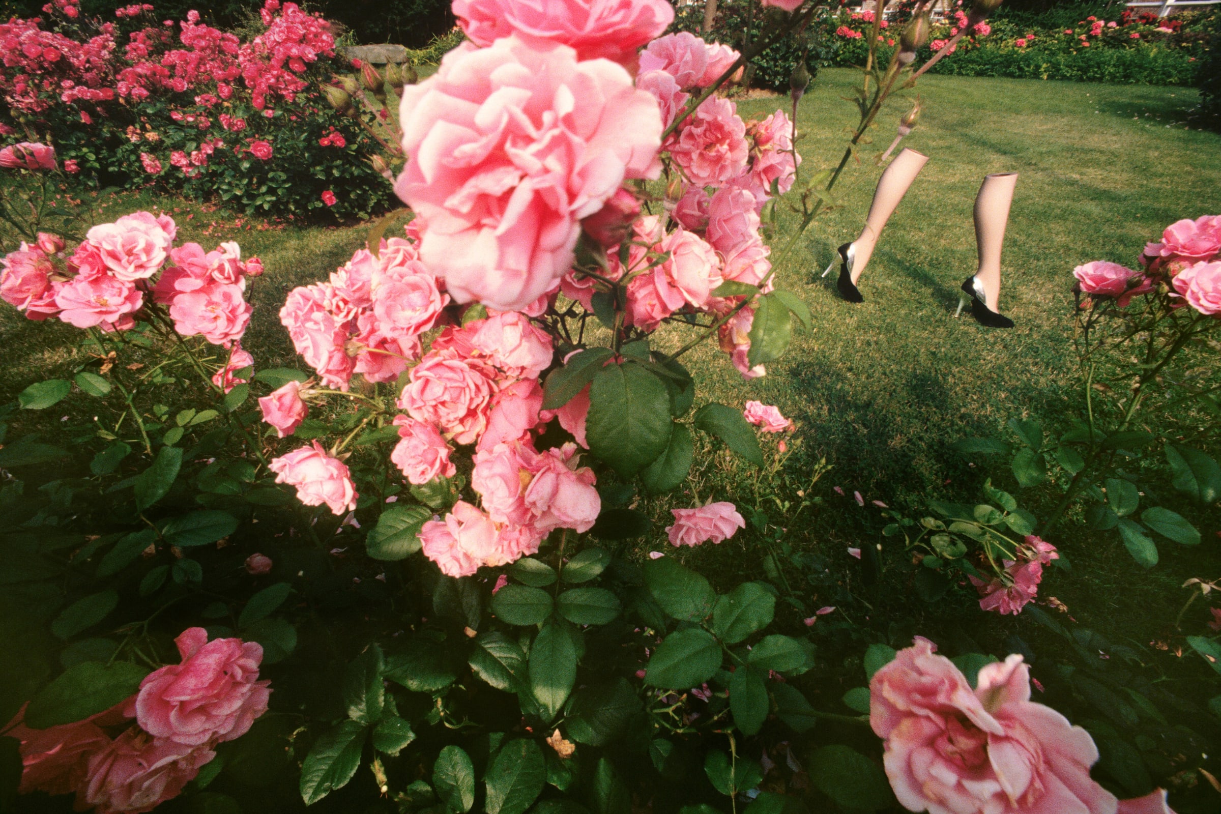 Guy Bourdin