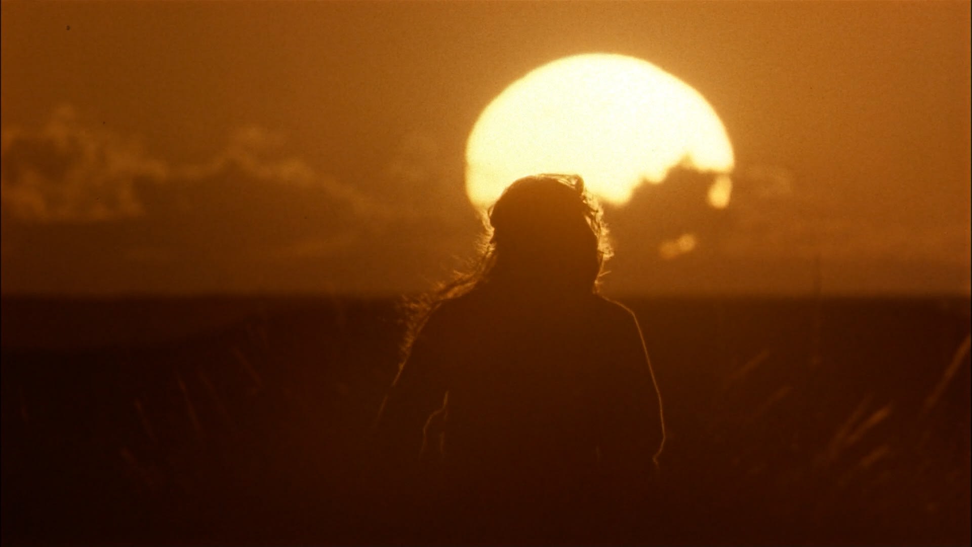 Roger Deakins