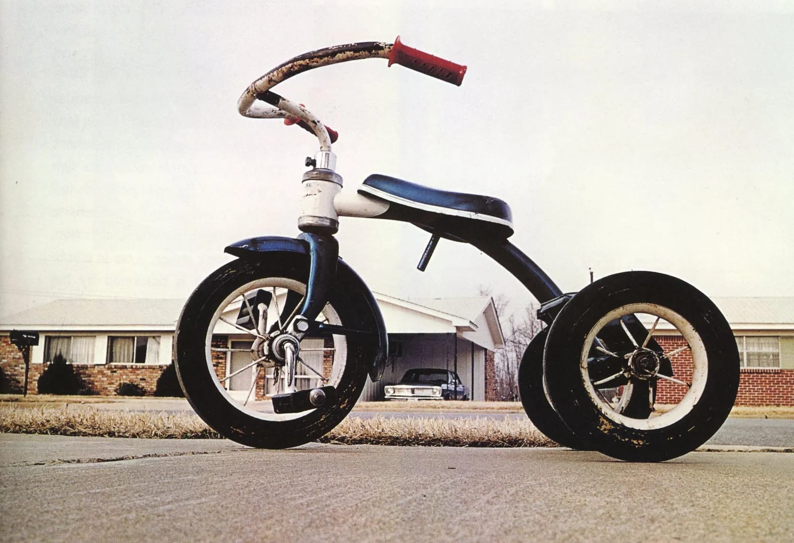 William Eggleston